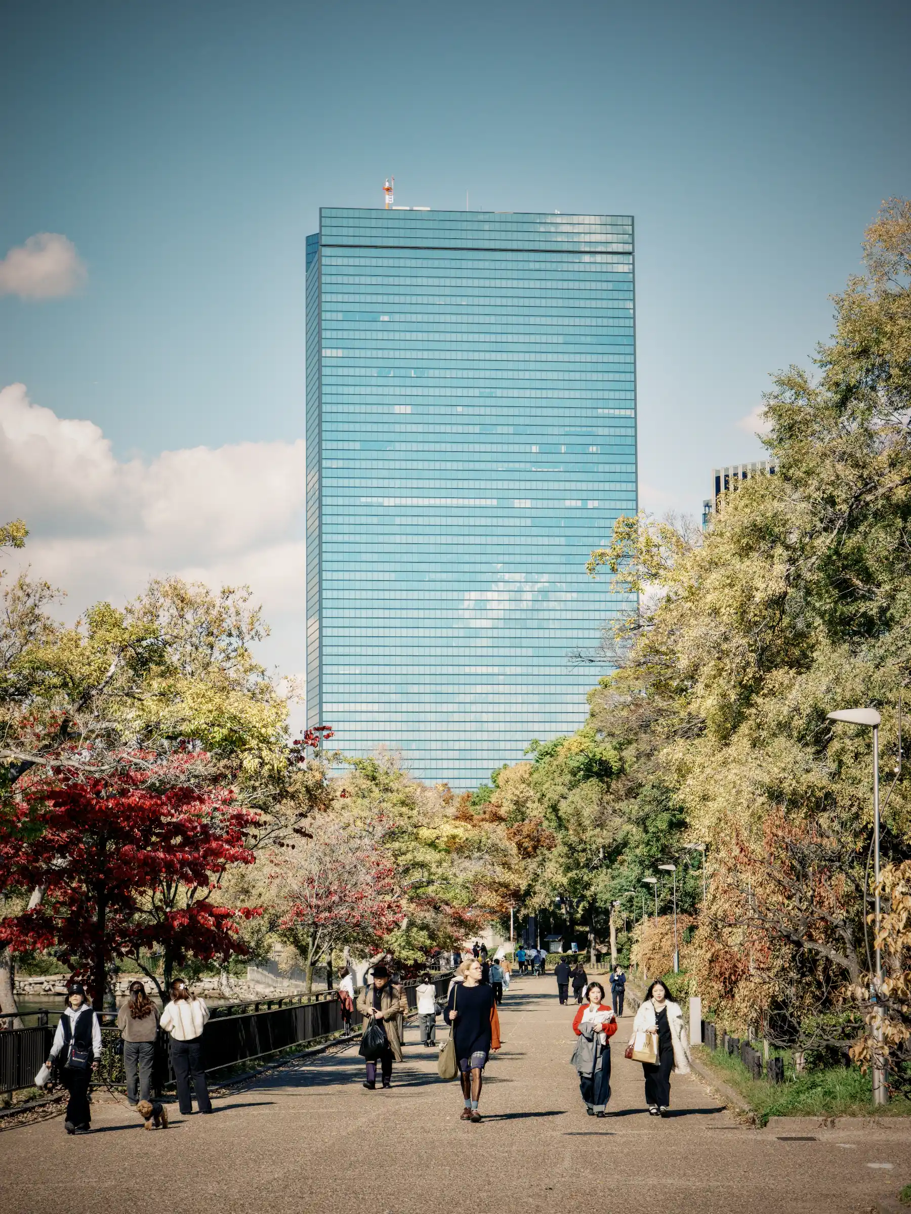 Un viale alberato nei dintorni del castello di Osaka, con persone a passeggio tra i colori dell’autunno e un alto edificio di vetro sullo sfondo.
