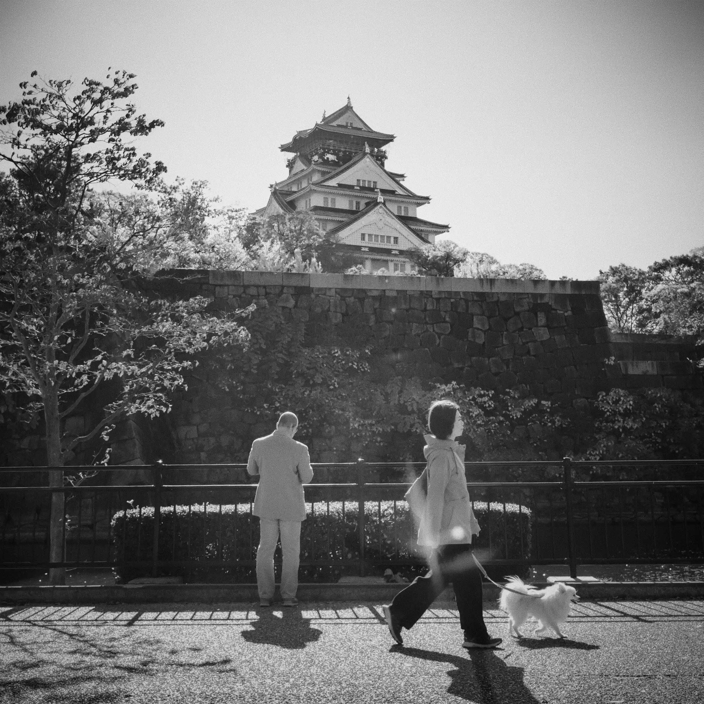 Lifestyle davanti al castello di Osaka, in bianco e nero: una persona porta a spasso un cane mentre un’altra osserva il castello oltre il muro di pietra.